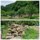 용소골농장 이미지