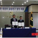 카카오 이미지