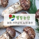 봉화농산 - 은평구 진흥로 149 | 봉화농산
