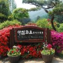 청사랑약국 Daum카페
