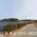 신지면-1 이미지