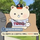 ㈜한국교통(마을버스) | [LG 트윈스] 뉴비 입문 가이드 총정리