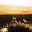 소래습지생태공원 이미지