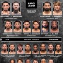 UFC 329 대진표 이미지