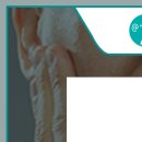 코엔박이비인후과의원 이미지