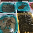 통영중앙전통시장 이미지