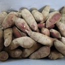 한얼농장 이미지