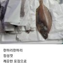 반건조 알배기 가자미 이미지