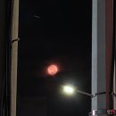 로또게임장 | 밤티스런 2월 정리