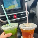 (주)거북 | 바다거북🐢 하나 보겠다고 며칠 동안 해변을 찾아다닌 신혼여행 이야기