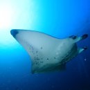 낙원파크 이미지