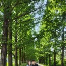 담양 수족관 대형 카페 추천｜카페 더하루 직접 다녀온 솔직 후기｜ 아이와 가볼만한 곳｜조명쇼 먹이...
