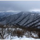 1월3일 정기산행 대관령~선자령~초막골 이미지