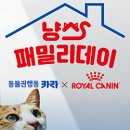 냥스 이미지