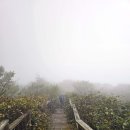 삼마전기 | 24년 9월 29일 부항령-삼도봉-민주지산-물한계곡