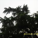 한국의 세계문화유산 이미지