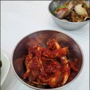 거북이 몰 이미지