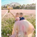 노블신 국제결혼 | 국제부부 결혼준비 1) 야외 웨딩스냅 드레스 고르기_부천 릴리드레스 (내돈내산)