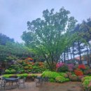 안성 고성산(268m) [나혼산]
