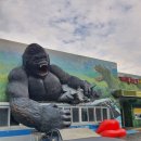 선녀와나무꾼 이미지