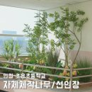 초은초등학교 이미지