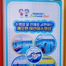 올스위밍
