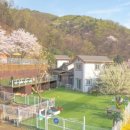 제이몽애견펜션 이미지