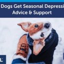 세바코리아 이미지