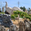 장사해돋이 휴게소 이미지