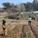 거해농장 이미지