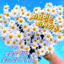 오늘동안 이미지