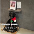 천희(투썸플레이스선유도역점) | 선유도역미용실 담다살롱 선유도역점 이솜디자이너 다운펌