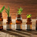 아로마약국 이미지