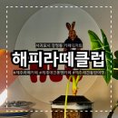 해피댕댕이 | 제주 서귀포 애견동반가능 신시가지 카페 추천, 해피라떼클럽 라떼 맛 솔직 후기