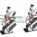 알지비 그라운드 이미지