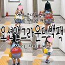 M앤S메디칼 | 오션앤그라운드 백팩 M L 사이즈 착용 후기 어린이집 소풍가방