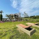 제주 애아리 in 귀덕 민박 | 제주 서쪽 감성숙소 추천 에어비앤비 모음+링크
