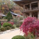 단양팔경투어 이미지