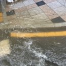 상남동272 이미지