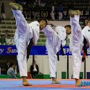 호돌이태권도체육관 이미지