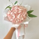 어플라워어데이(A FLOWER A DAY)