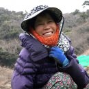 영농법인조합 농부의꿈 이미지