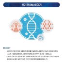 글로벌 지니 이미지