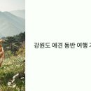 나실목장 | 강원도 애견 동반 수영장 호텔 펜션 추천