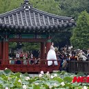 심청이