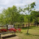 중대물빛공원 이미지