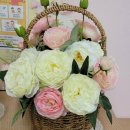 약목초교(병설) 이미지