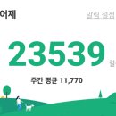 보라매양행