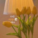 명진파크뷰 | 밍또블 일상기록 ◄:•D 주간일기 챌린지 6월2주차📝