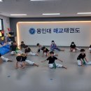 용인대 매교태권도장 이미지